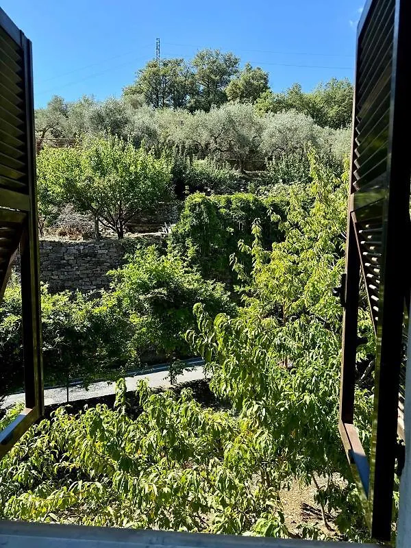 Casa Mimosa Apartment Sarola